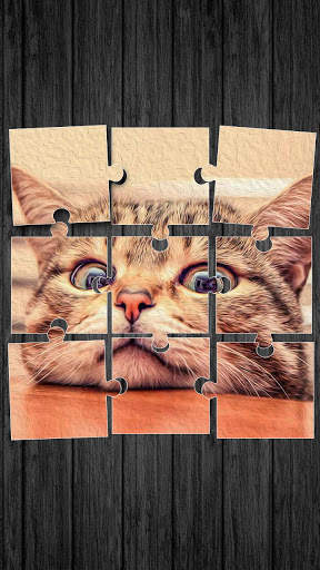 Cute Cats Jigsaw Puzzle screenshot 1