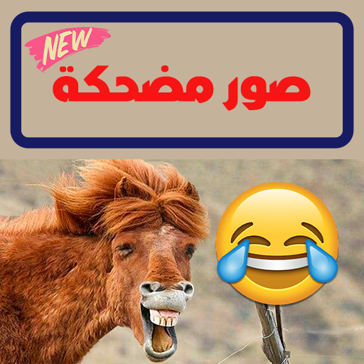 funny pictures icon