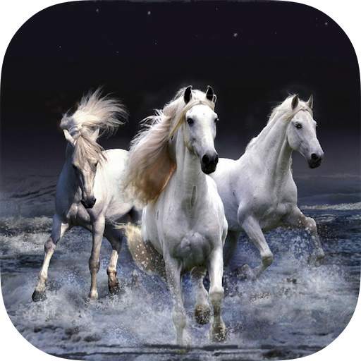 Horse Wallpapers HD 1.0.3