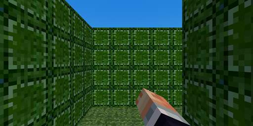 Laberinto Pixel World Maze screenshot 2