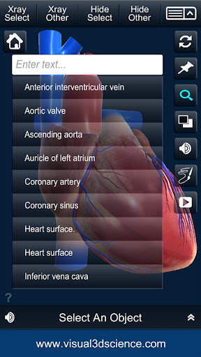 My Heart Anatomy screenshot 7