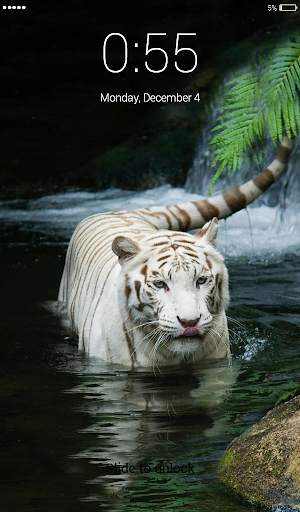 White Tigers Lock Screen Wallpaper screenshot 4