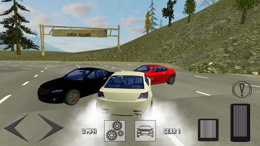 Extreme Car Driving 3D screenshot 2