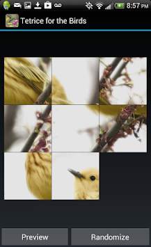 Tetrice for the Birds screenshot 8