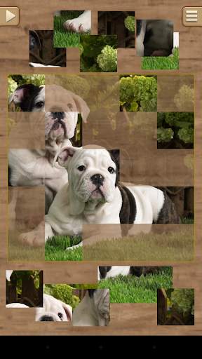 Animal Puzzle Games screenshot 4