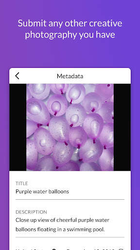 Contributor by Getty Images screenshot 4