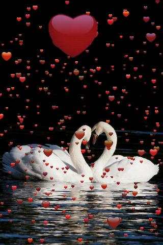 I Love My Photos Free screenshot 1