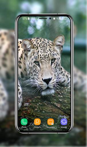 New Cheetah Wallpapers screenshot 4