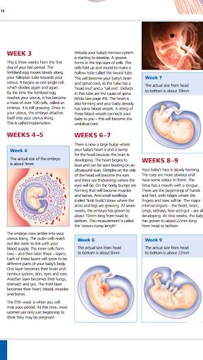 Pregnancy Guide 3 تصوير الشاشة