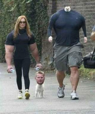 funny pictures HD screenshot 1