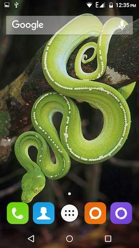 Snake Hd Wallpaper screenshot 5