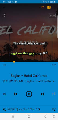 Musicat - Basic Music Player screenshot 4