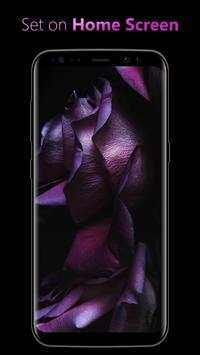 Wallpaper HD for Iphone screenshot 5