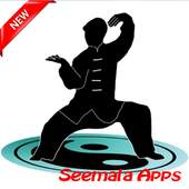 Best Tai Chi Technique Leraning 1.0