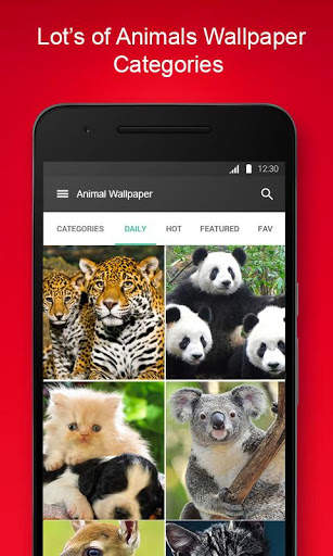 Free Animal Wallpaper screenshot 1