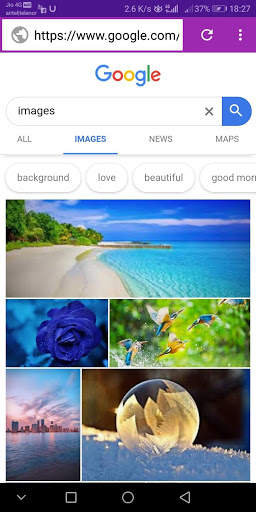 Additional browser screenshot 1