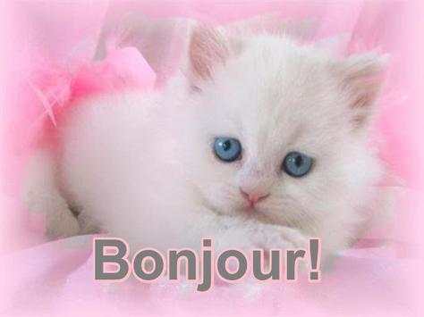 BONJOUR! screenshot 8