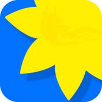 Gallery on 9Apps