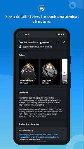 vet-Anatomy screenshot 4