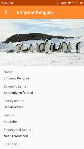 Bird Identify : Artificial Intelligence screenshot 2