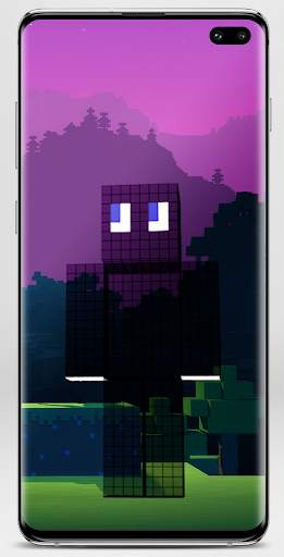 Invisible Skin for Minecraft screenshot 2