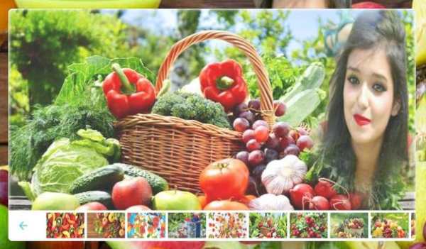 Fruit Photo frame screenshot 4
