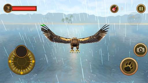 Sea Eagle Survival Simulator screenshot 4