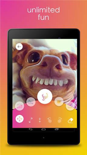 Photo Warp screenshot 8