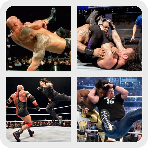 WWE Finishers icon