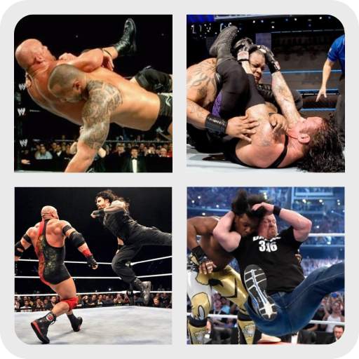 WWE Finishers 8.1.1z
