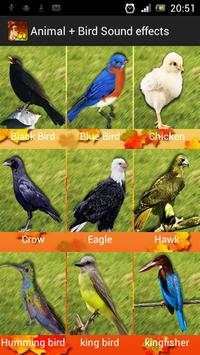 Animal   Bird Sound Effects screenshot 5
