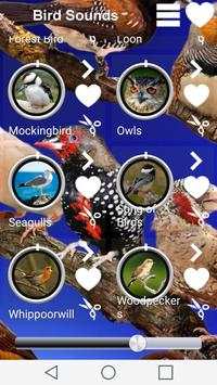 Birds Sounds screenshot 1