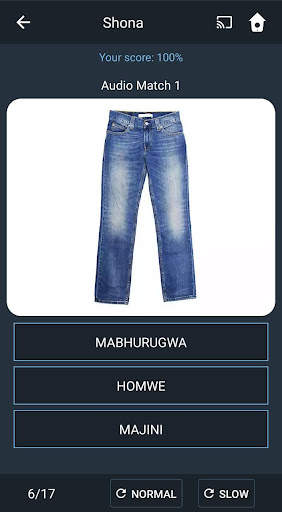 Learn Shona. Speak Shona. Stud screenshot 4