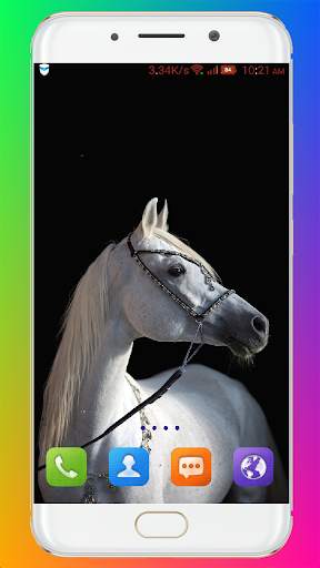 Horse Wallpaper HD screenshot 7