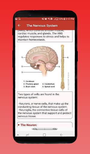 Human Body System – Inside the Human Body Offline 7 تصوير الشاشة