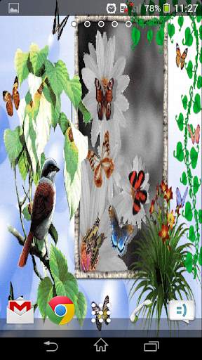 Animated 3D Butterfly screenshot 6