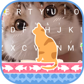 Cat Stare icon