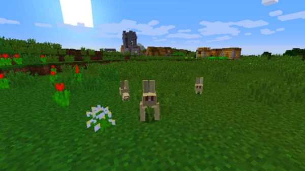 Seeds for Monecraft PE screenshot 4