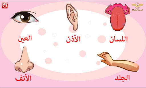 تعليم الحواس الخمسة скриншот 1