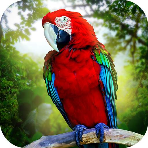 Jungle Parrot Simulator - try wild bird survival! 1.3.1