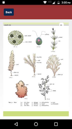 NCERT Class 11 Biology Solution screenshot 3