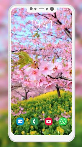 Nature Wallpaper screenshot 2