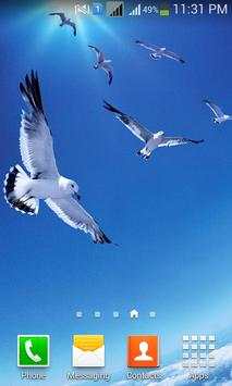 Lovely Birds HD Wallpapers screenshot 5
