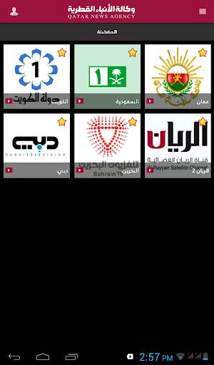 QNA TV screenshot 5