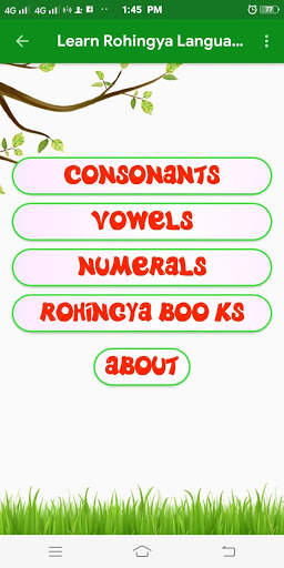Learn Rohingya Language 3 تصوير الشاشة