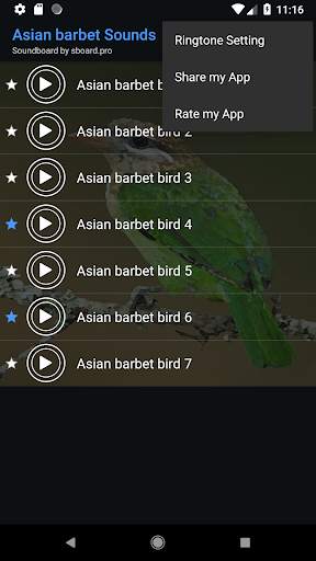 Asian barbet bird Sounds ~ Sboard.pro screenshot 4