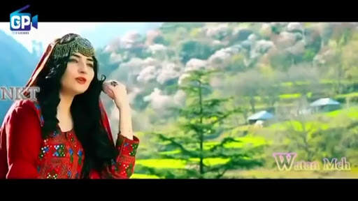 Gul Panra Songs And Tapay Collection screenshot 8