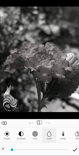 Photo Editor TE screenshot 3