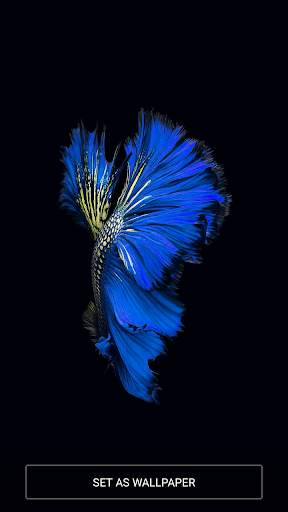 Wallpapers iOS 10 Full HD screenshot 1