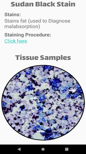 Bacteria Stains Lite screenshot 3